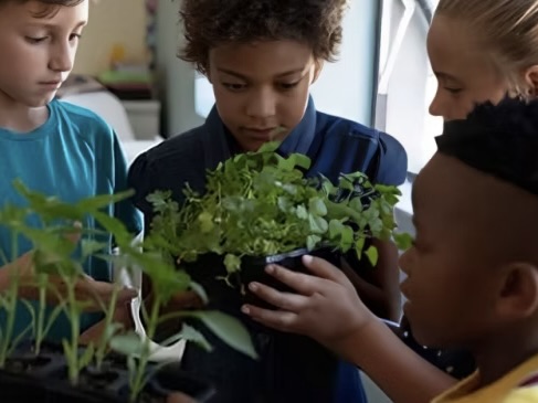 4 students observing a plant in that they are holding.